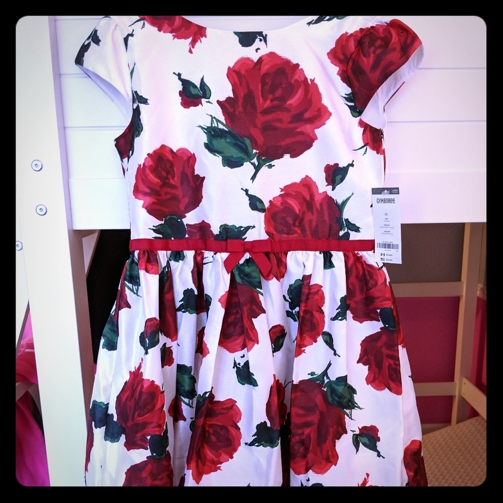 NWT Gymboree Rose Holiday Party Dress 12